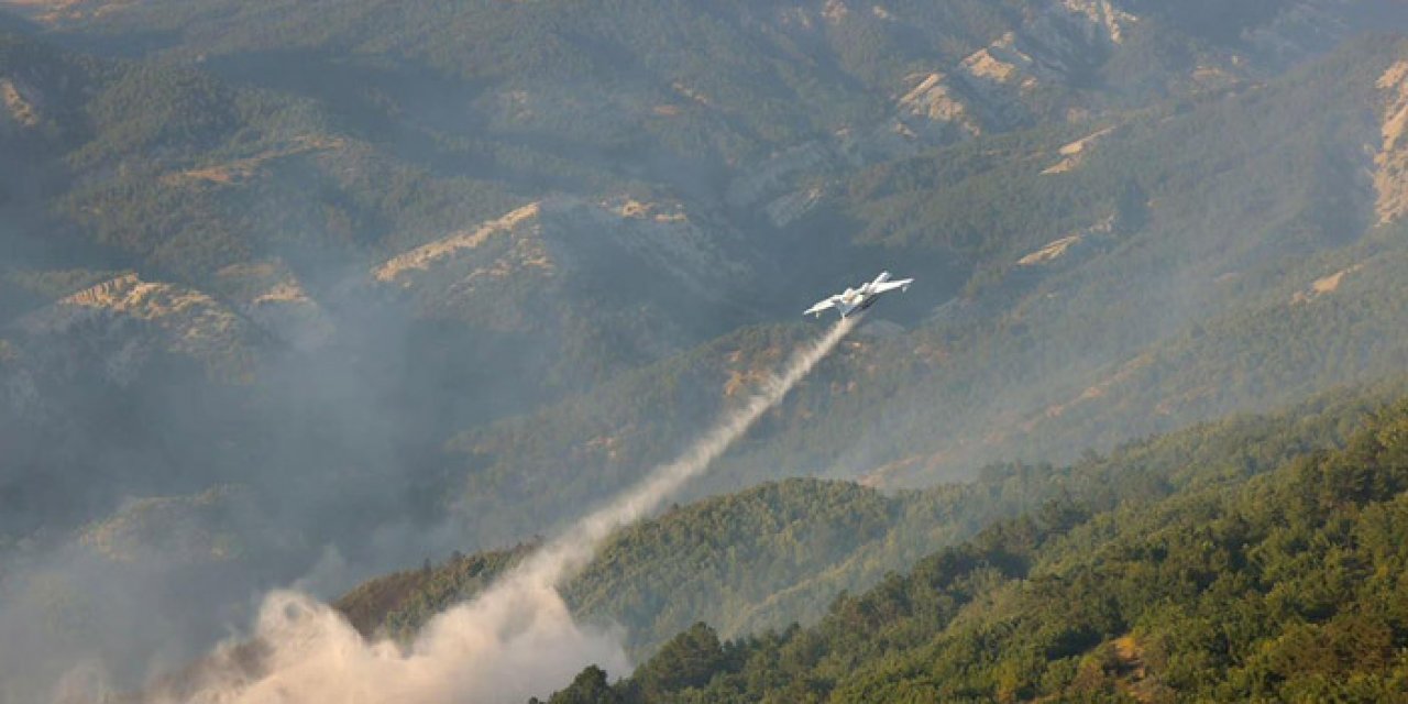 Bilecik'teki orman yangınından güzel haber