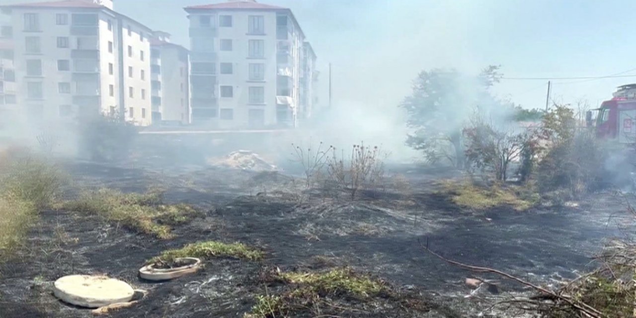 Otluk alanda yangın