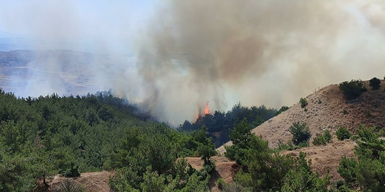 O ilde de yangın çıktı: Müdahale devam ediyor