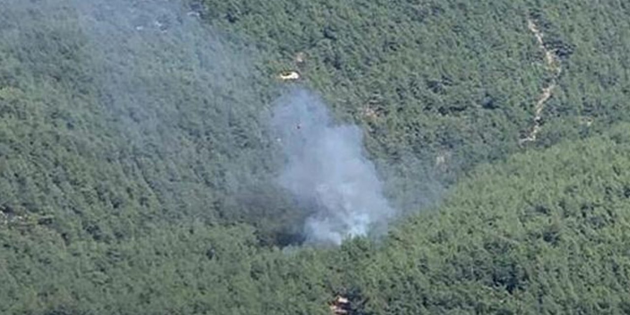 Bodrum'da çıkan yangına havadan ve karadan müdahale ediliyor