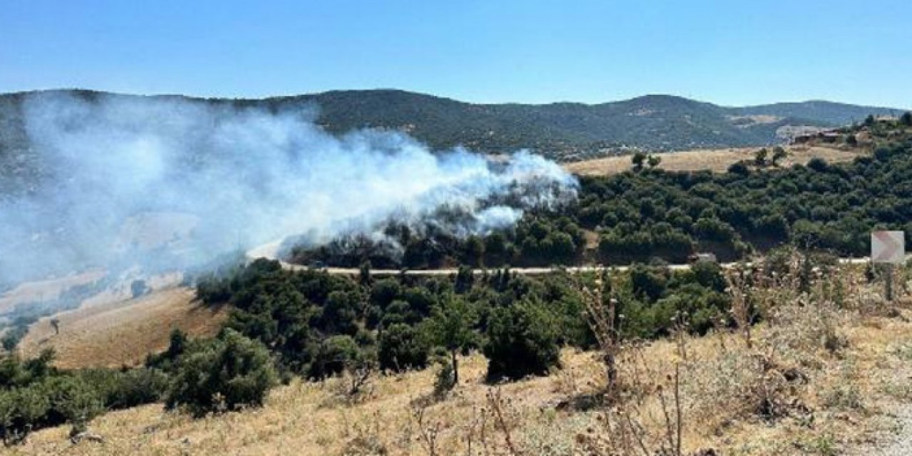 Manisa'daki orman yangını kontrol altında