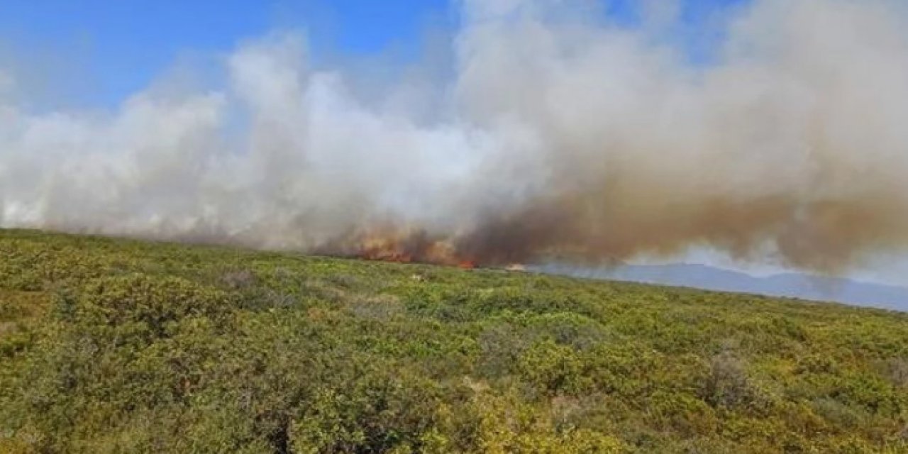 Aydın'da korkutan maki yangını