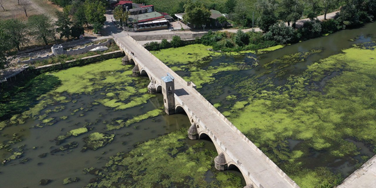 Tunca Nehri kan ağlıyor: Debi düştü çöpler ortaya çıktı