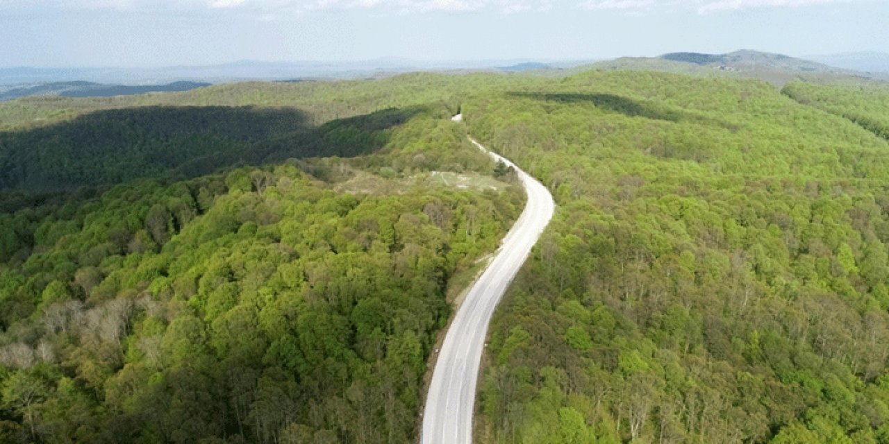 Trakya'nın ciğerleri yok oldu: 126 hektar ormanlık alan yandı