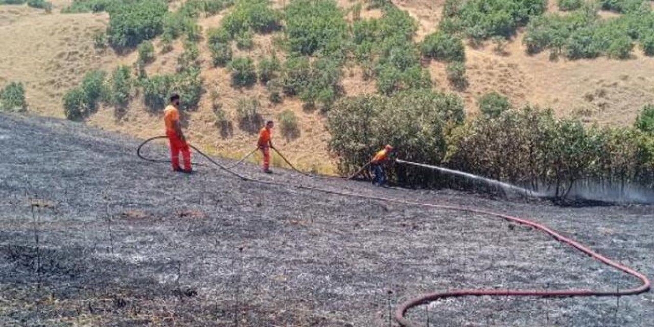 Bingöl'de orman yangını kontrol altına alındı