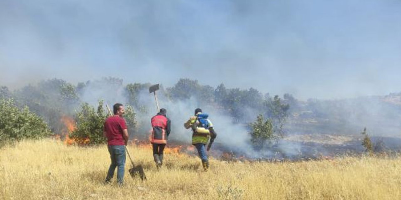 Mardin’de 10 hektar alan yangın nedeniyle kül oldu