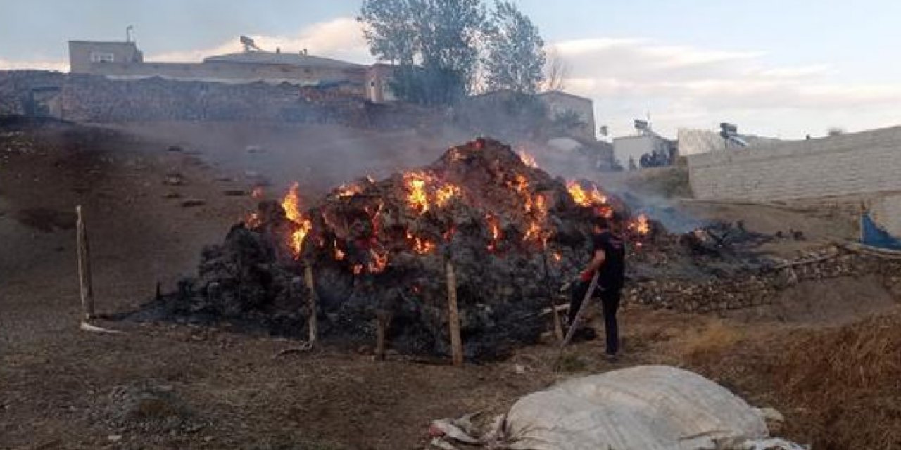 Van'da ot yangını: 8 bin bağ ot kül oldu