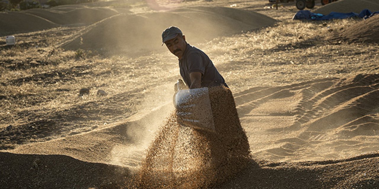Kavurucu sıcaklara rağmen durmuyorlar: Çiftçilerin zorlu mesaisi