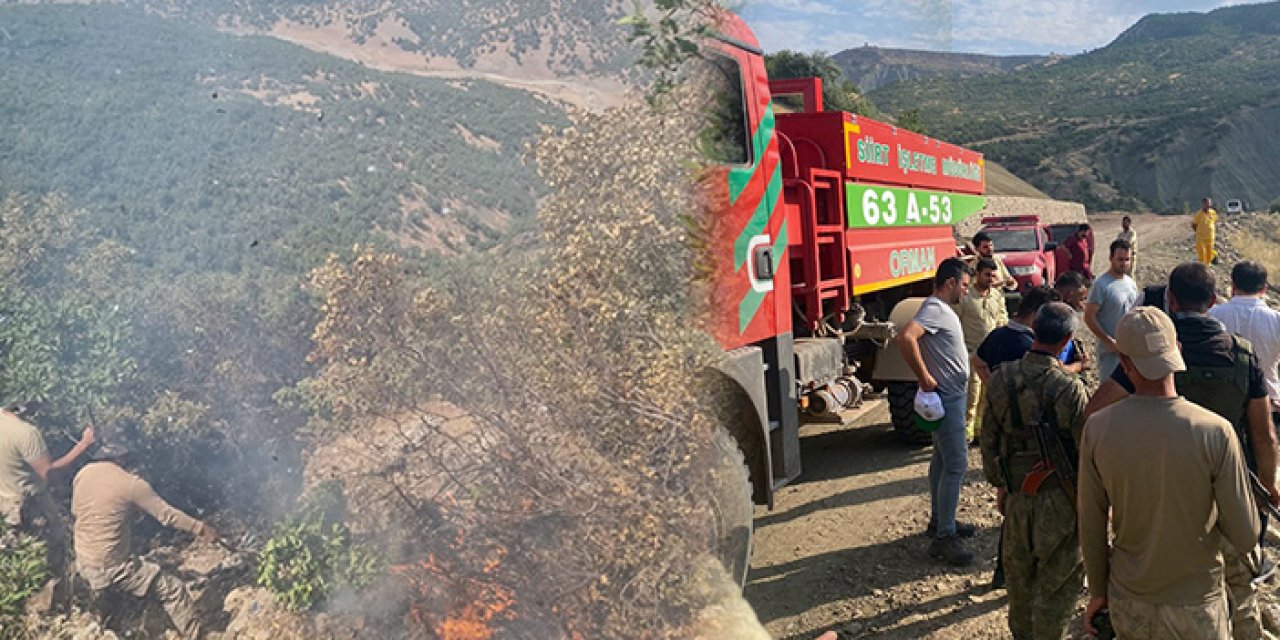 Siirt ormanları alevlere teslim: 52 saatte söndürüldü