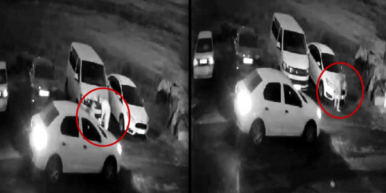 İstanbul'da plakaları böyle çaldılar