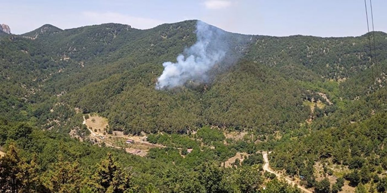 Hatay ormanları yangına teslim