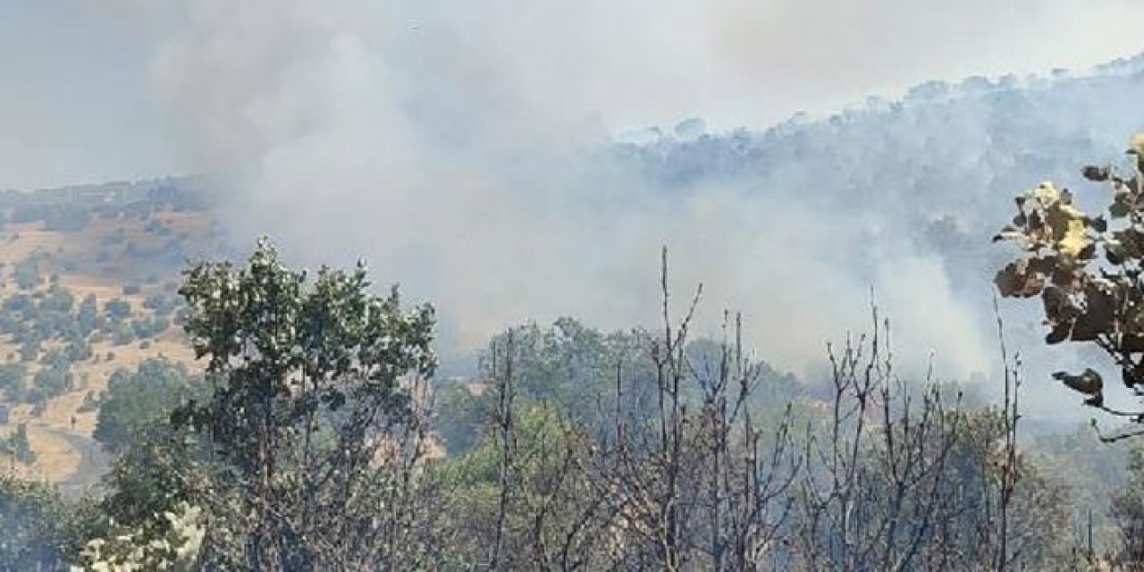 Mardin'de korkutan orman yangını
