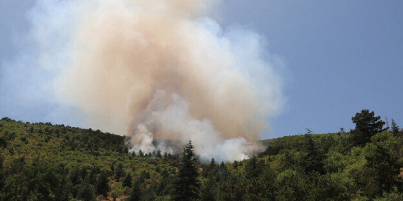 Afyonkarahisar'da çıkan orman yangını kontrol altında