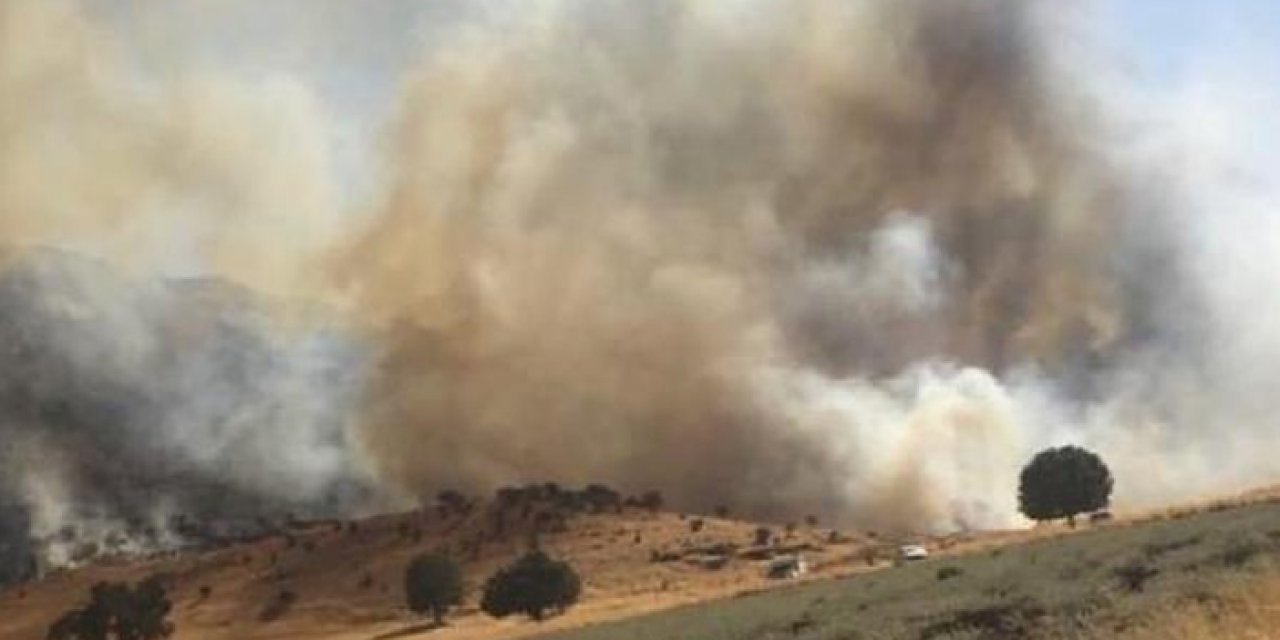 Mardin'deki örtü yangını kontrol altına alındı