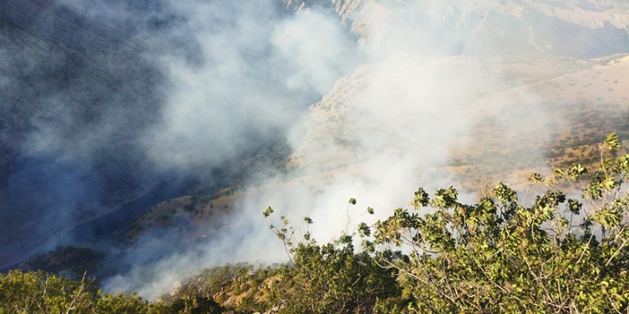Çıkan yangın kontrol altına alındı