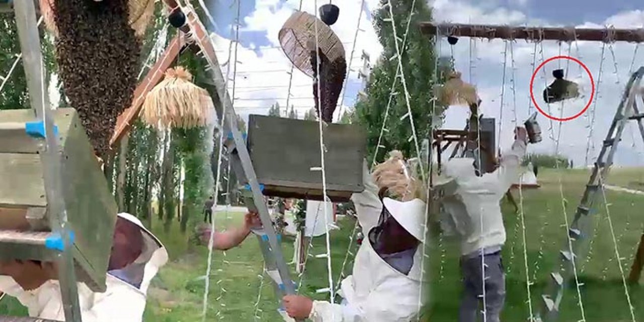 Erzurum'da düğün fotoğrafı çekimini arılar bastı