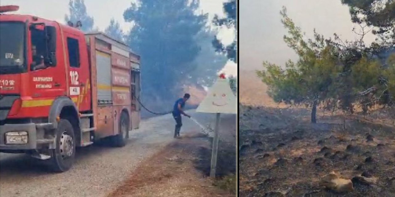 Adana'da korkutan orman yangını
