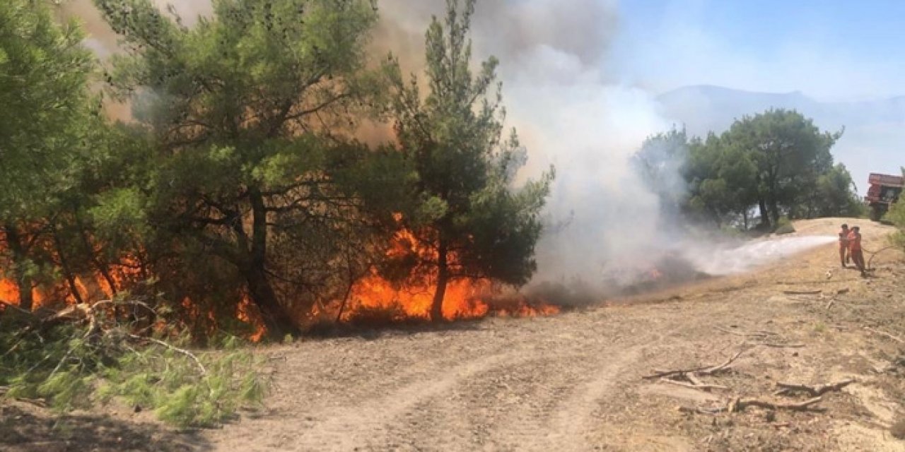 Adana'daki yangına havadan ve karadan müdahale ediliyor