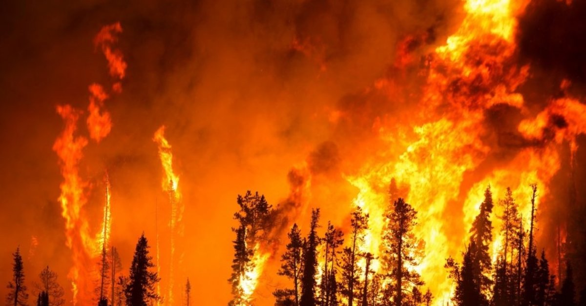Ankara sınırında feci orman yangını! Köyler boşaltılıyor....