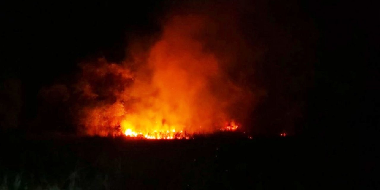 Anız yangını çıktı: 2 bine yakın ağaç zarar gördü