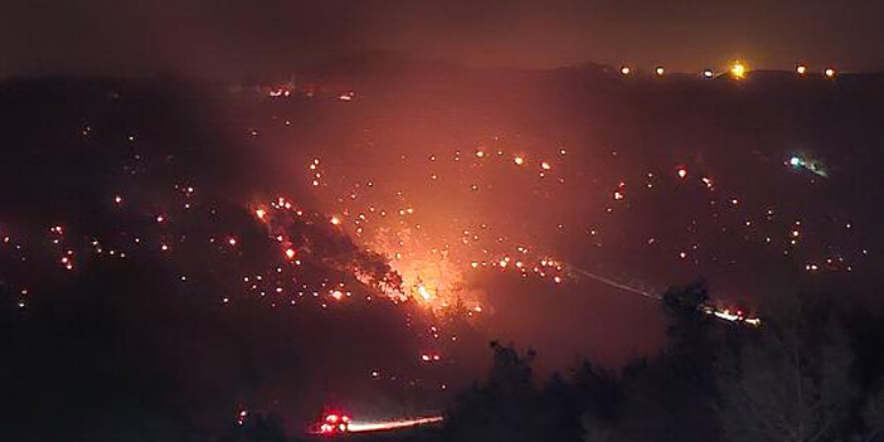 Adana'daki orman yangını kontrol altına alındı