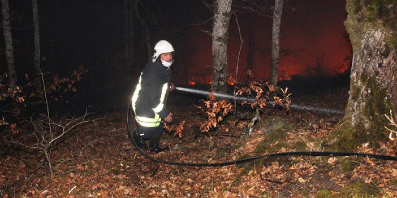 Amasya'da çıkan orman yangını kontrol altında