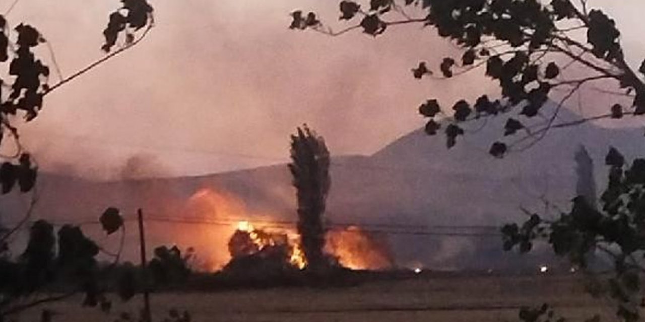 Çorum'da yangın: Onlarca kavak ağacı kül oldu