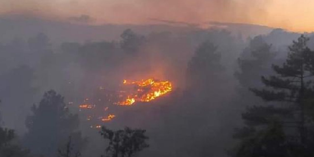 Kırşehir'deki yangın rüzgarın etkisiyle askeri bölgeye sıçradı