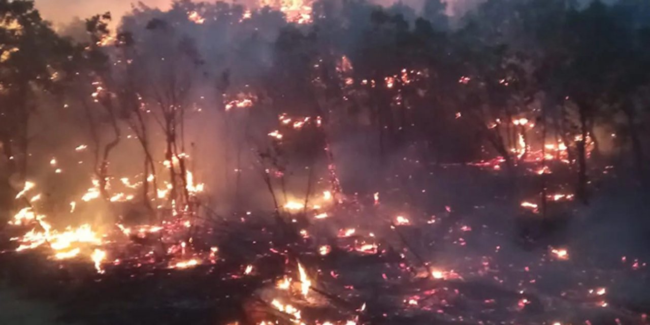 Çıkan yangın 15 saat sonra kontrol altına alındı