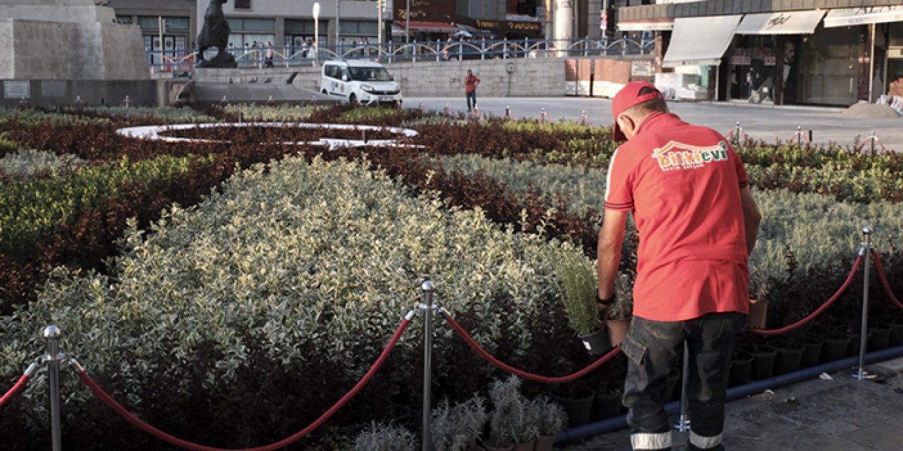 Beypazarı'nda yetişen çiçeklerden Ulus'a ay yıldızlı peyzaj