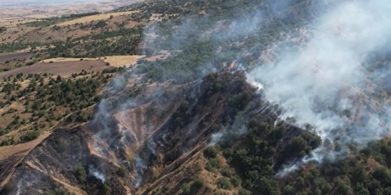 Ankara'da orman yangını: Helikopter müdahale ediyor