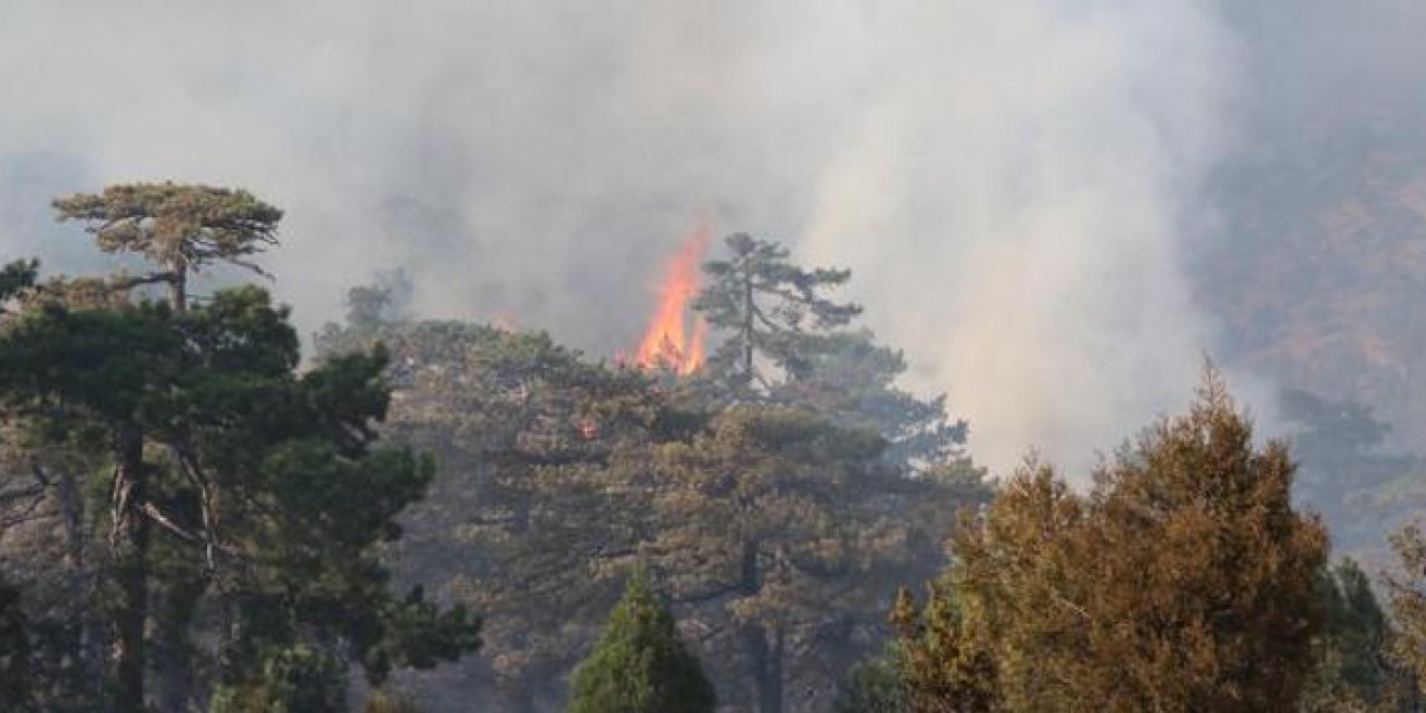 Eskişehir’de orman yangını: 4 helikopter ve 1 uçakla müdahale
