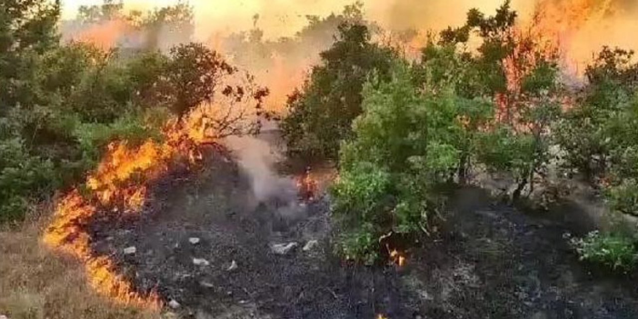 Bingöl’deki orman yangını 6 bölgeye sıçradı