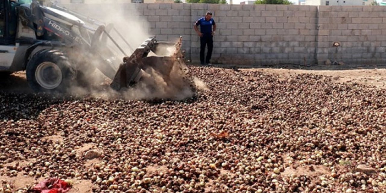 4 ton çürümüş soğan kurutulurken yakalandı: İmha edildi