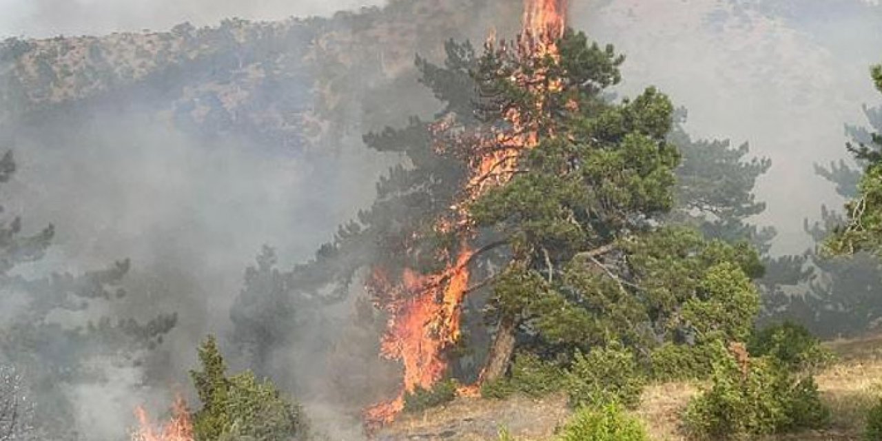 Eskişehir’de yangın: Söndürme çalışmaları sürüyor