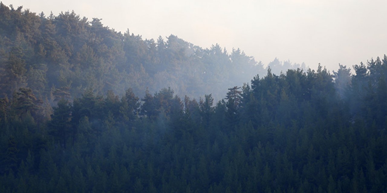 Antalya 2 gündür yanıyor!