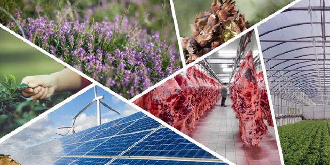 Avrupa Birliği Kırsal Kalkınma Programı 13'üncü başvuru çağrısı