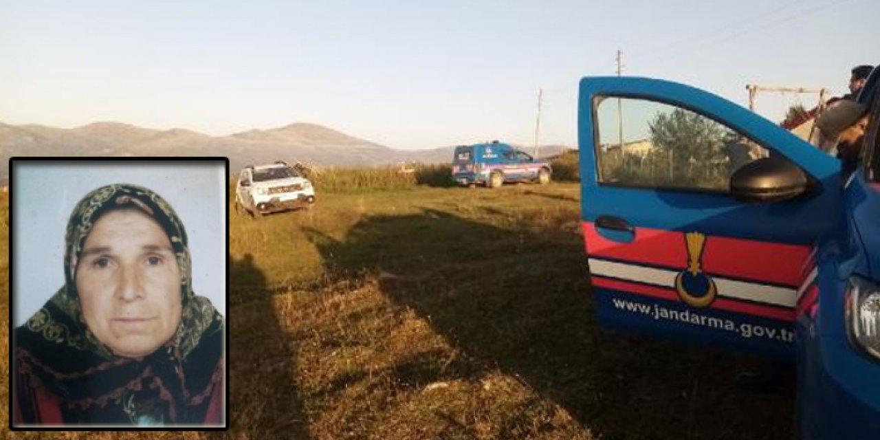 Ordu'da büyükbaş saldırdı: Yaşlı kadın öldü