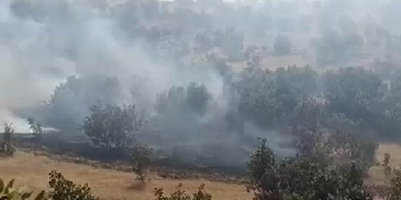 Mardin'deki orman yangını kontrol altına alındı