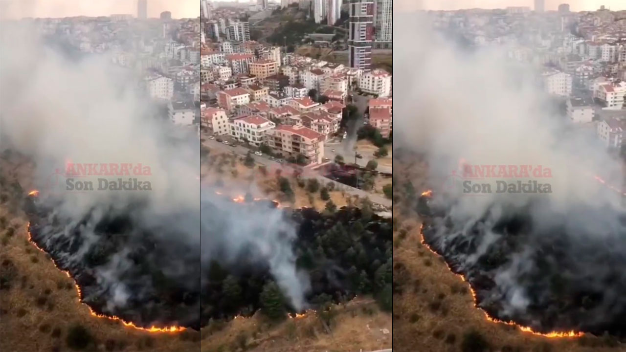 Ankara'nın ikinci çiftliğinde yangın: İtfaiye müdahale ediyor!