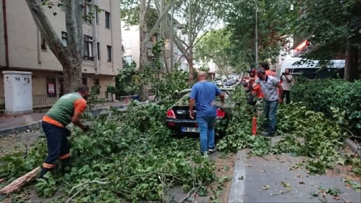 Ankara'da şiddetli esen rüzgar çatıları uçurup ağaçları devirdi