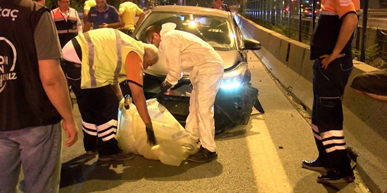 Yola atlayan köpeğe çarpan sürücü yaralandı