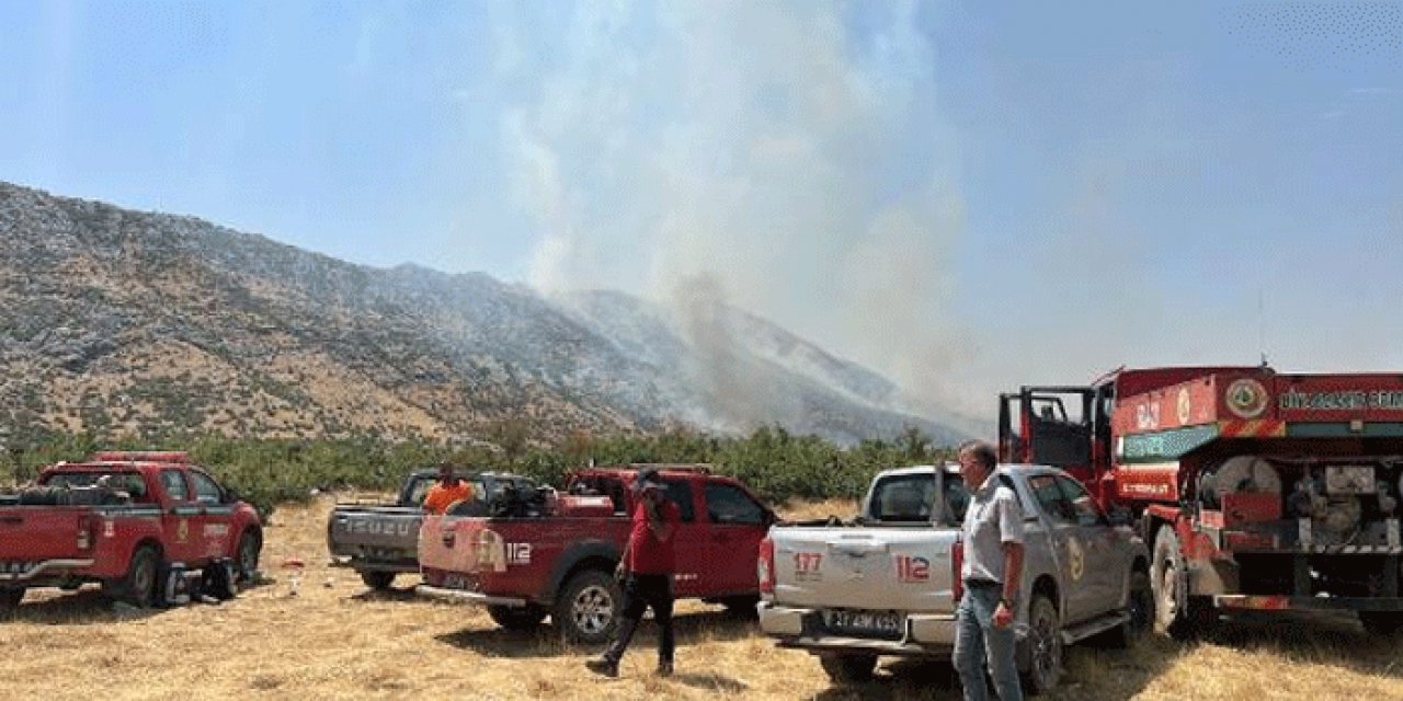 Diyarbakır'da orman yangını