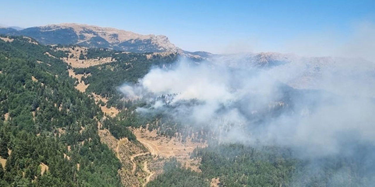Kahramanmaraş’ta orman yangını: Ekipler sahada
