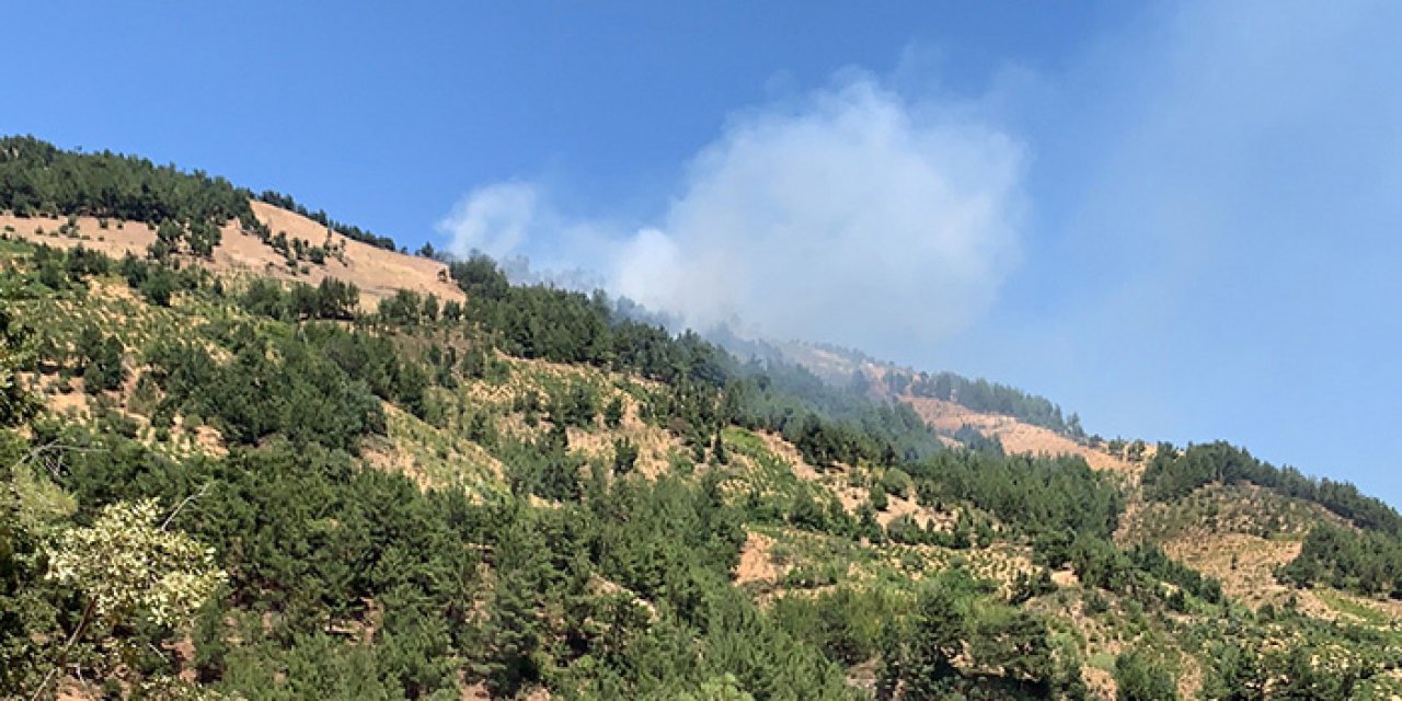 Gaziantep’te 4 hektar küle döndü