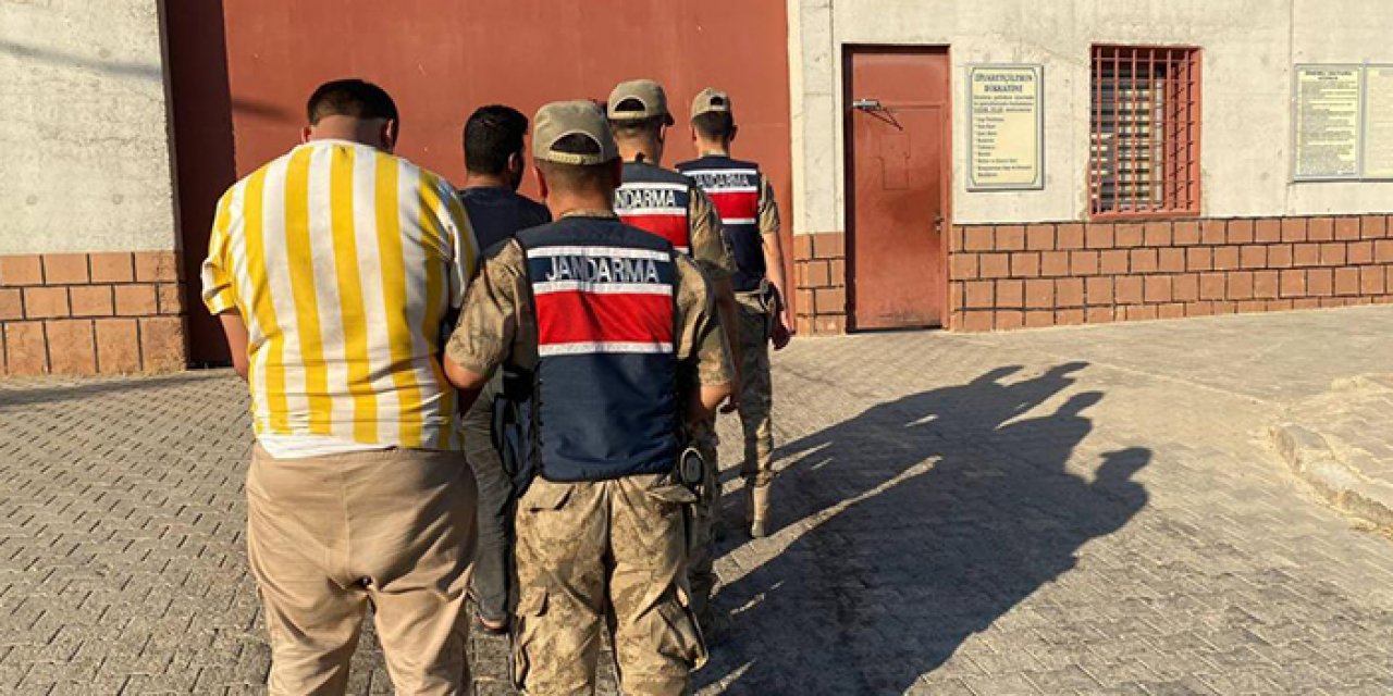 Kaçak göçmenler ve organizatörler yakalandı