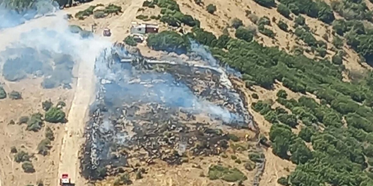 İzmir’de ormanlar alevlere teslim