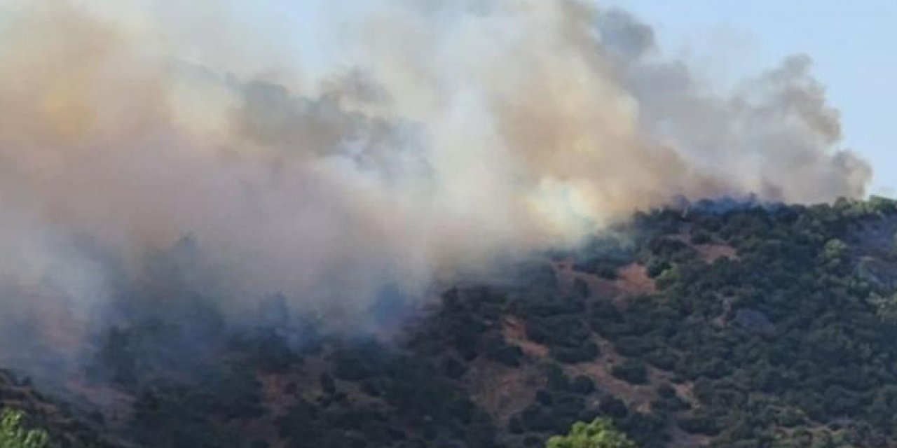 Balıkesir'de yangın: Havadan ve karadan müdahale ediliyor