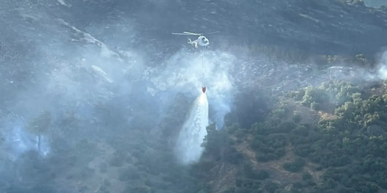 Balıkesir'deki orman yangını kontrol altında