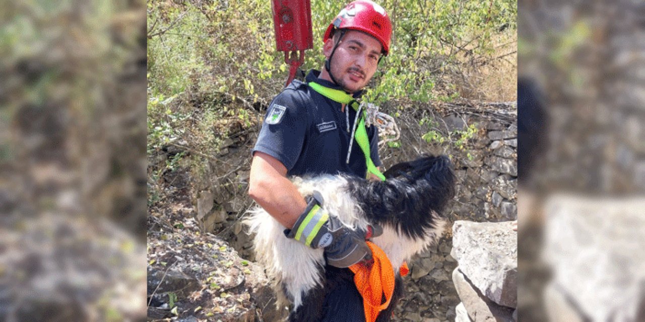 Ankara'da kuyuda mahsur kalan oğlak böyle kurtarıldı